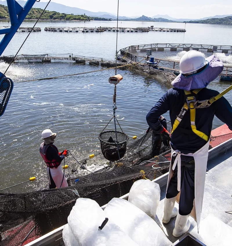 Nuestra Historia y Filosofía